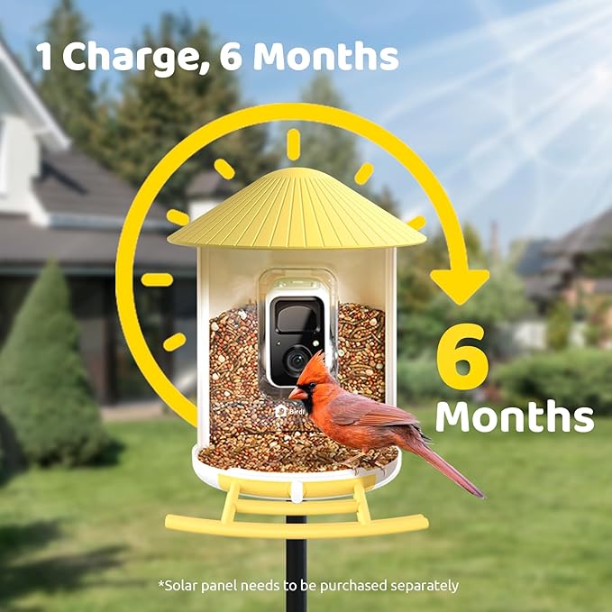 NETVUE by Birdfy Smart Bird Feeder with Camera, Bird Watching Camera, Auto Capture Video&Motion Detection, 1080P Live Steam, Cardinal Feeder Outdoor Wireless, Ideal Present for Backyard Birder, Yellow