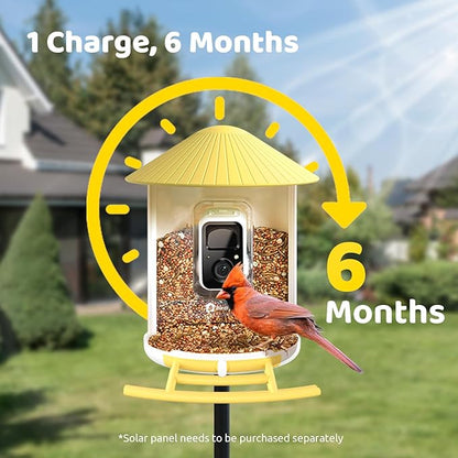 NETVUE by Birdfy Smart Bird Feeder with Camera, Bird Watching Camera, Auto Capture Video&Motion Detection, 1080P Live Steam, Cardinal Feeder Outdoor Wireless, Ideal Present for Backyard Birder, Yellow