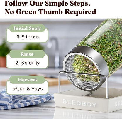 Seedboy Organic Non-GMO Sprouting Seeds, Gut Health Blend – USA Grown Microgreens Mix with Clover, Alfalfa, Fenugreek, Dill – 8 oz Bag Makes 8 Quarts / 24 Servings (Gut Health Blend)