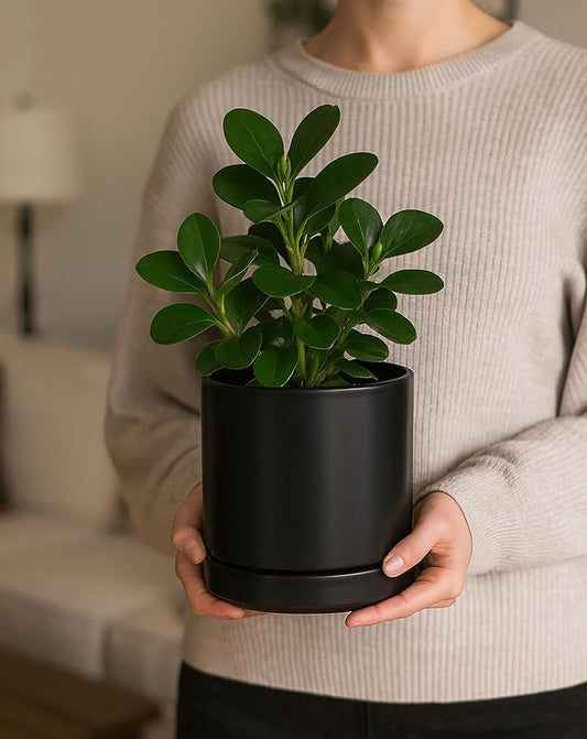 D'vine Dev 6.5 Inch Ceramic Planter Pot with Drainage Hole and Saucer, Indoor Cylinder Round Flower Pot, Black, 94-O-C-2