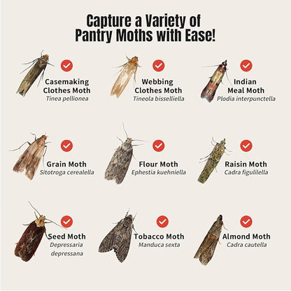 POPTRAP 20 Pack Pantry Moth Traps, Non-Toxic Glue Moth Trap for Food and Cupboard, Traps with Natural Pheromones, Wood Grain Appearance for Pantry Moths