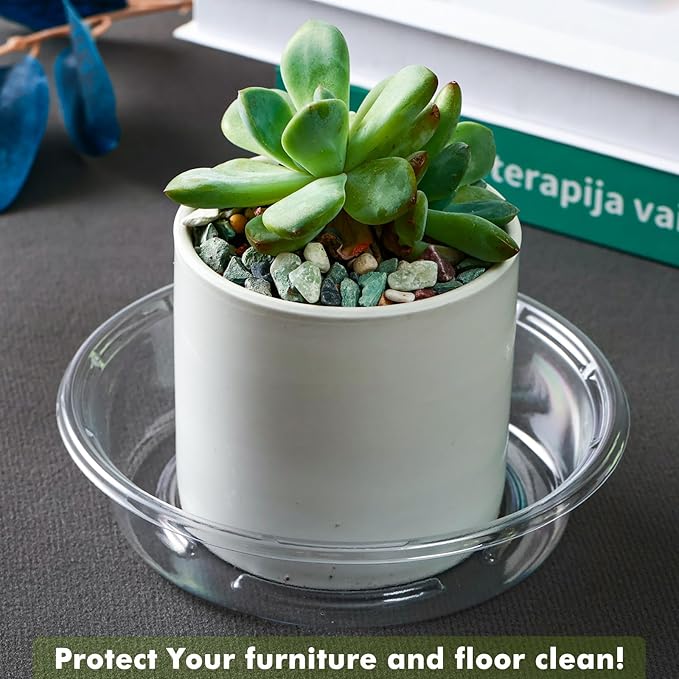 Plant Saucer 50 Pack Plant Trays for Pots 6 Inch Plastic Plant Saucers for Outdoors and Indoors Clear Drip Trays for Potted Plants Flower Pot Plates to Catch Water Plant Drainage Dishes No Holes