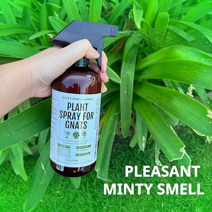 Kate's Garden Plant Spray for Insects & Getting Rid of Gnats. Fungus Gnat Killer & Bug Spray for Indoor Plants (16oz, Pet Safe, Non Toxic)