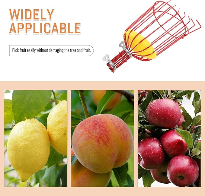 Kisangel 1pc Tool Pecan Picker Mango Picker Pole Adjustable Fruit Picker Avocado Tool Fruit Collector Tool Fruit Harvester Fruit Picker Tool Fruit- Device Rod Persimmon