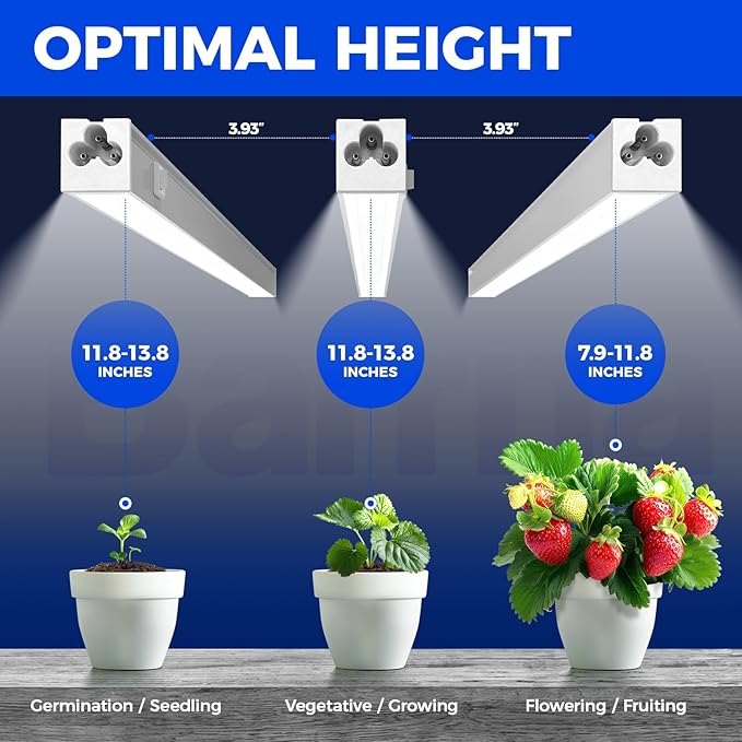 Barrina Grow Lights for Indoor Plants, 1ft Plant Lights for Indoor Growing, 5000K White Full Spectrum Grow Light, Individual Switch, T5 Grow Light Strip, Plug and Play, 8-Pack