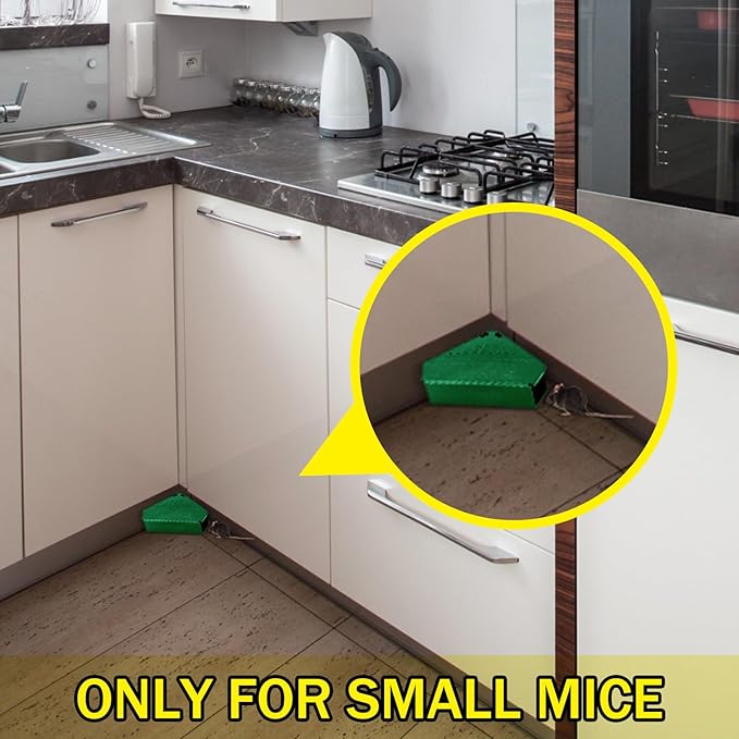 Qualirey 24 Pcs Mice Station with Key Triangle Bait Station Reusable Rodent Trap Bait Box, Keeps Children and Pets Safe Indoor & Outdoor, Bait Not Included, Suitable for Small Mice (Green)