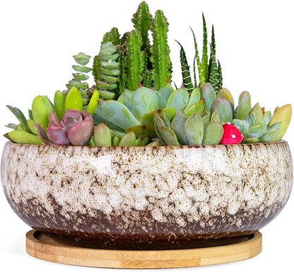 ARTKETTY Succulent Pots - 7.5 Inch Large Plant Pot with Bamboo Tray, Shallow Bonsai Pots with Drainage, Ceramic Planter for Indoor Plants, Cactus, Home Office Desk Decor