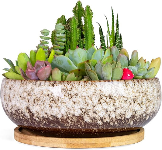 ARTKETTY Succulent Pots - 7.5 Inch Large Plant Pot with Bamboo Tray, Shallow Bonsai Pots with Drainage, Ceramic Planter for Indoor Plants, Cactus, Home Office Desk Decor