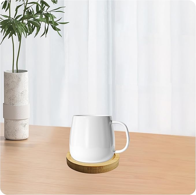 6Pcs 3” Bamboo Plant Saucer, Round Pot Tray for Indoor Planters, Succulent Holder Drainage Tray, Versatile Coaster Set for Home Office Decor