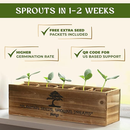 AVERGO Bonsai Tree Kit for Beginners – 5X Unique Japanese Bonzai Trees | Complete Indoor Starter Kit for Growing Bonsai Plants with Tools & Planters – Gardening Gifts for Women & Men