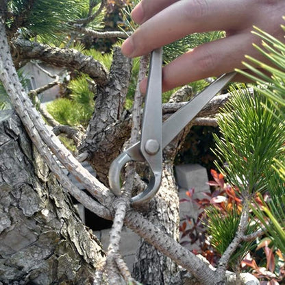 Bonsai Branch Cutter, 7in(180mm) Stainless Steel Concave Knob Cutter Tree Limb Cutter Bonsai Pruning Japanese Gardening Tools for Enthusiasts and Beginners