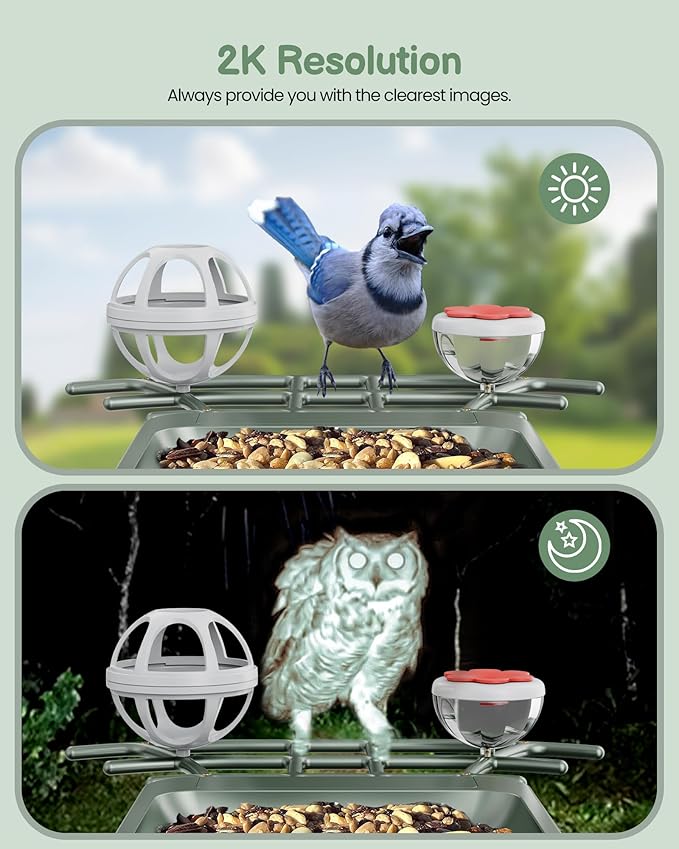 Smart Bird Feeder with Camera Outdoor: Solar Birdfeeder Cam for Outside Garden - 2K HD Live Video Camera AI Recognition Visible Window Auto Capture - Bird Lover Gifts