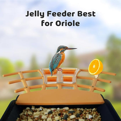 Birdkiss Smart Camera Bird Feeder with Solar Pannel, DIY Different Add-Ones Including Suet Ball, Jelly Feeder, Mini Hummingbird Feeder, Auto Capture Bird Full HD Videos, Ideal Present for Bird Lovers