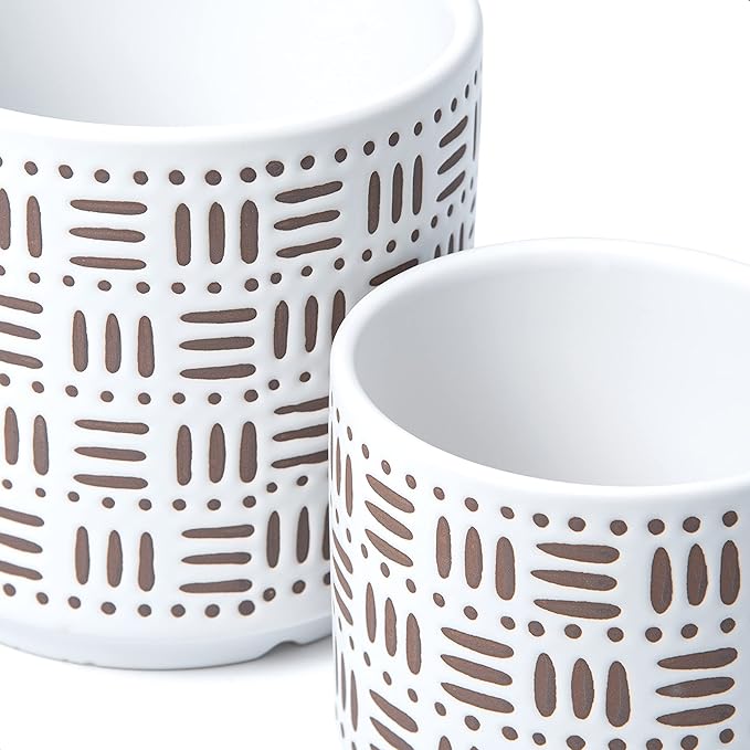 D'vine Dev Set of 2 Ceramic Planter Pots with Drainage Hole and Saucer, 6 Inch Plant Pots for Plants Indoor Houseplants, White, 99-Z-F-1-Y