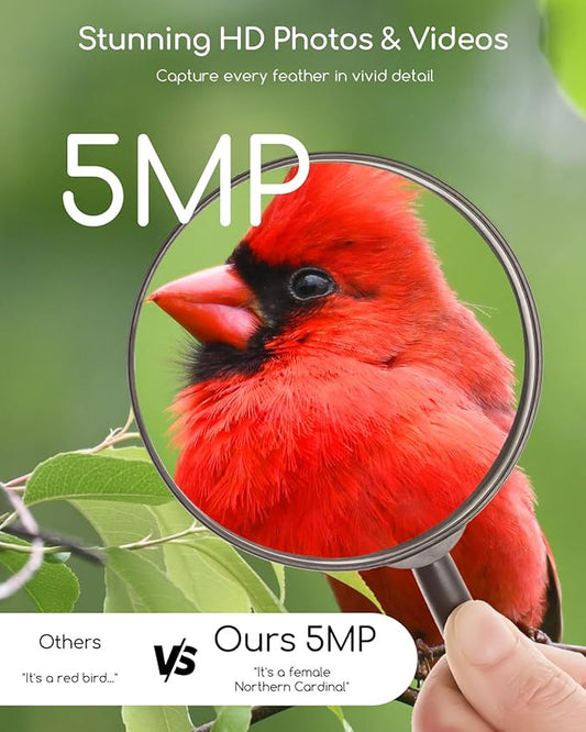 COOAU 5MP Smart Bird Feeder with Camera, Faster Solar Powered Charging, Outdoor Birdhouse Cam with Precise AI Birds Recognition, Live Video Watching and Notifications, Ideal Gift for Bird Lovers,Green