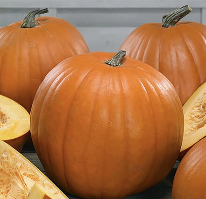 Spookie Pumpkin Seeds - Heirloom