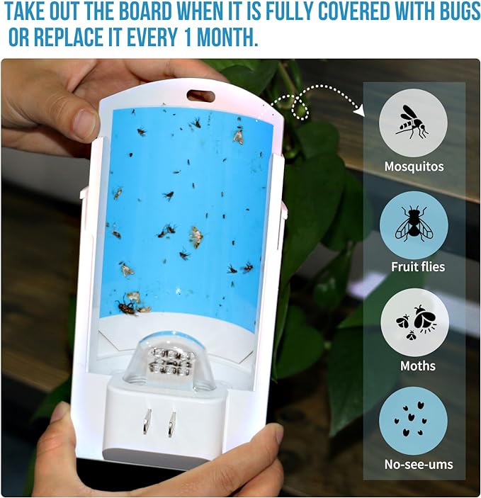 2-Pack Flying Insect Trap with 8 Refills - Plug-in Fruit Fly Trap for Indoor, Bug Zapper for Gnats, Fruit Flies & House Flies | Blue & UV Light Attraction | Mess-Free Disposal