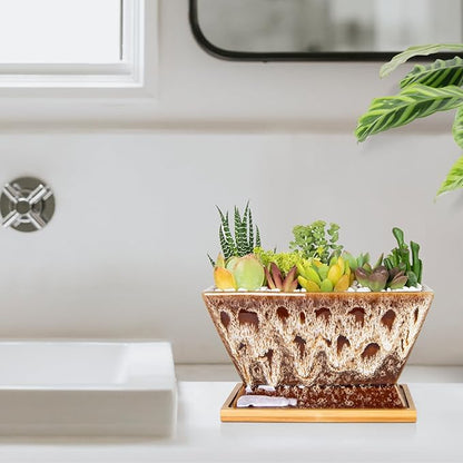 ARTKETTY Succulent Pots - 7 Inch Large Plant Pot with Drainage Tray, Shallow Ceramic Pots for Indoor Plants, Modern Cactus Bonsai Plant Container Decorative Home Office