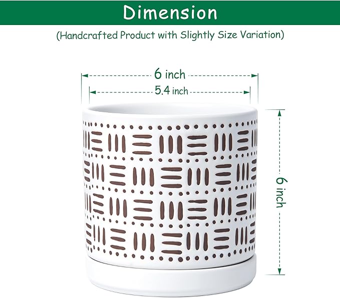 D'vine Dev Set of 2 Ceramic Planter Pots with Drainage Hole and Saucer, 6 Inch Plant Pots for Plants Indoor Houseplants, White, 99-Z-F-1-Y