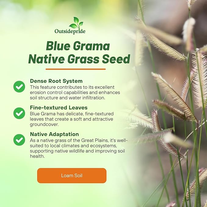 Outsidepride Blue Grama Native Grass Seed - 5 lb. Perennial, Drought Tolerant & Low Maintenance, Pasture Seeds for Planting Densely Tufted Leaves, Ideal for Hay Foraging, Grazing & Erosion Control