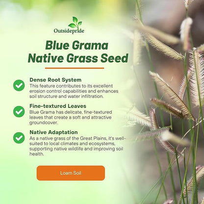 Outsidepride Blue Grama Native Grass Seed - 5 lb. Perennial, Drought Tolerant & Low Maintenance, Pasture Seeds for Planting Densely Tufted Leaves, Ideal for Hay Foraging, Grazing & Erosion Control