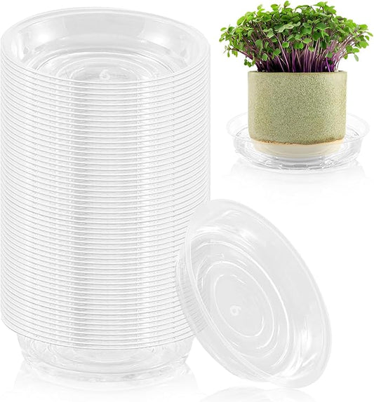 100 Pack 6 Inch Plant Saucer Clear Plant Saucers for Indoors Flower Pot Saucers Small Plants Plate Dish Succulent Pot Saucer Plants Trays for Pots Bulk Plastic Tray for Flower Cactus Nursery Pots