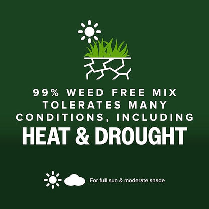 Scotts Kentucky 31 Grass Seed Mix for New Lawns or Overseeding, Grows Thicker and Greener vs. Other Kentucky 31 Mixes, Covers up to 10,000 sq. ft.