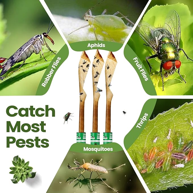 Qualirey 160 Pack Fly Strips Sticky Fly Trap Indoor Outdoor Hanging Ribbon Tape Paper Flying Insect Trap Gnat Killer Traps Catcher for Fruit Flies, Bug, Insect, Pest (Green)