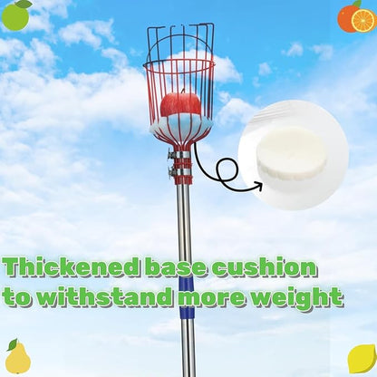 Adjustable Fruit Picker with Telescoping Handle and Basket, 5.5ft - Ideal for Apple, Orange, Avocado, Lemon, Pear, and Mango Harvesting