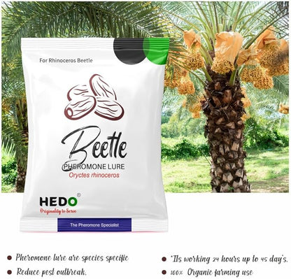 HEDO Rhinoceros Beetle Pheromone Trap with Lure and Bucket Trap to Control Damage in Coconut, Palm Areca & Other Ornamental Palm Species Pack of 5