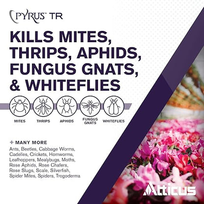 Atticus Pyrus TR Greenhouse Fogger (12 Pack) - Total Release Pyrethrin Insecticide/Miticide - Controls Mites, Thrips, Aphids, Whiteflies, Fungus Gnats (Packaging May Vary)