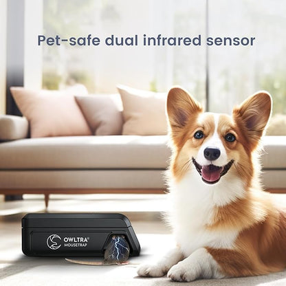 OWLTRA Indoor Electric Mouse Trap, Instant Eliminate Rodent Zapper with Pet Safe Trigger, Black, Small