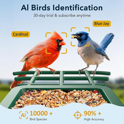 PeckCam® Bird Feeder with Camera Solar Powered, AI Identify & Auto Capture, 2K HD Live Video Smart Bird Feeder Camera Instant Notifications in Backyard, Gift for Bird Lovers