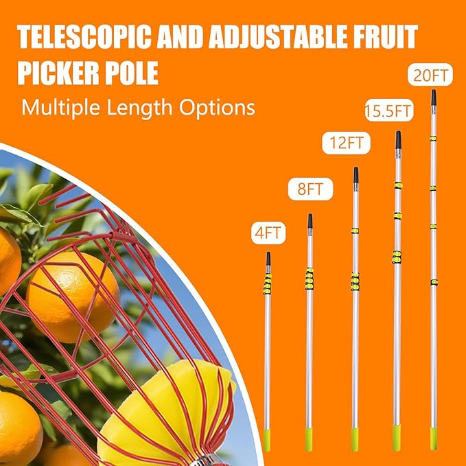 20FT Telescopic Fruit Picker With Wire Basket and Woven Basket,Adjustable Fruit Picker Pole With Basket Telescoping,4.6-20FT Fruit Picker Pole,Suitable For Picking Apples,Mangoes,Plums and Others