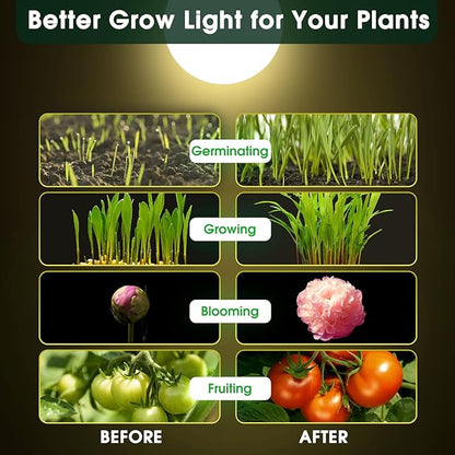LED Grow Light Bulb A19 - Full Spectrum E26 Base, 11W (100W Equivalent) for Indoor Plants, Flowers, Greenhouse - 2 Pack
