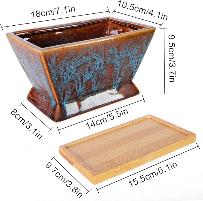 ARTKETTY Succulent Pots - 7 Inch Large Plant Pot with Drainage Tray, Shallow Ceramic Pots for Indoor Plants, Modern Cactus Bonsai Plant Container Decorative Home Office