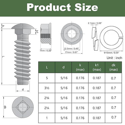 5/16-18 Carriage Bolts Set 40pcs Wheelbarrow Handles Replacement Kit 304 Stainless Steel Nut and Bolt Set Assortment Kit Compatible for Jackson Wheelbarrow Rebuild, Furniture Repair, Wood Joining