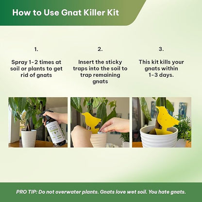 Kate's Home & Garden Plant Spray for Insects & Getting Rid of Gnats with 12 Sticky Traps. Fungus Gnat Killer & Bug Spray for Indoor Plants (16oz, Peppermint, Pet Safe, Non Toxic)