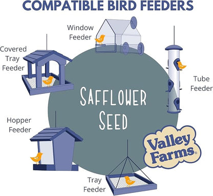 Valley Farms Safflower Seed Wild Bird Food (4 LB) Birdseed for Outside Feeders to Attract Cardinals, Titmice & Grosbeaks