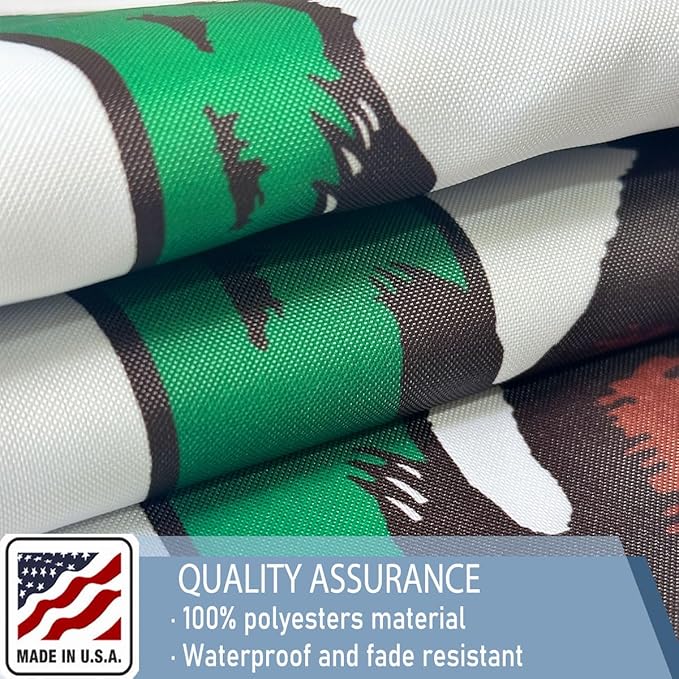 California Republic State State Flags 2x3 Outdoor Heavy Duty Double Sided Nylon Vivid Color Anti-Fading with 2 Brass Grommets for Home/Company/Indoor Outdoor Decoration