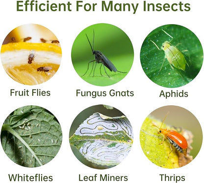 48 Pack Fruit Fly Traps for Indoors Plants Fungus Gnat Killer Trap Outdoor, Sticky Fly Catcher for House Outdoor, Flying Insects, Fungus Gnats, Flies