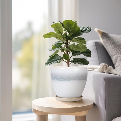 6 Inch Plant Pot - Ceramic Planters for Indoor Ourdoor Plants, Modern Succulent Pot, Round Planter with Drainage Hole and Saucer, Room Office Garden Home Decor, Plant Lover Gifts, White-Grey