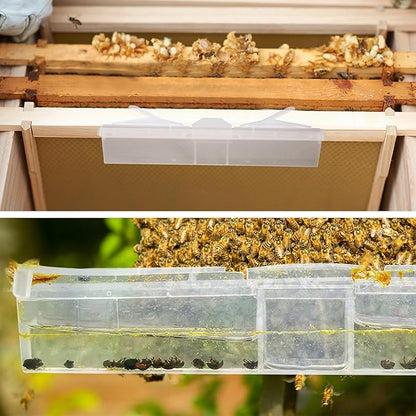 20 Pack Small Reusable hive Beetle for bee Hives Beetle Blaster SHB bee hive Beetle Guard Guardian