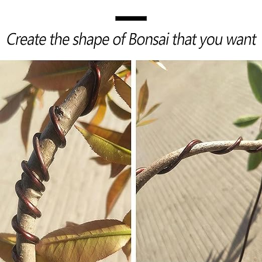 3 Rolls Bonsai Training Wire, Aluminum 2.5mm/3mm/4mm Training Wire for Holding Bonsai Branches Small Trunks, Brown