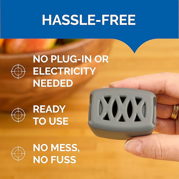 Hot Shot Flying Insect Trap, Discreet, Hassle-Free Trap Attracts, Captures House Flies and Fruit Flies, 24/7 Continuous Attraction, No Plug-in Or Electricity Needed, 6 Count