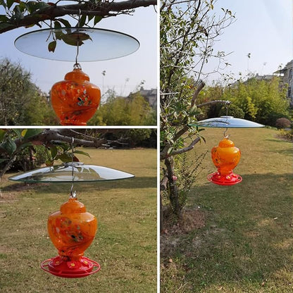 13" Glass Rain Cover for Bird Feeders Outdoors - Baffle on Shepherd Pole/Post or S Hooks Hanging - Large Weather Guard Protective Dome - Clear x 2PC (Dia. 33CM)