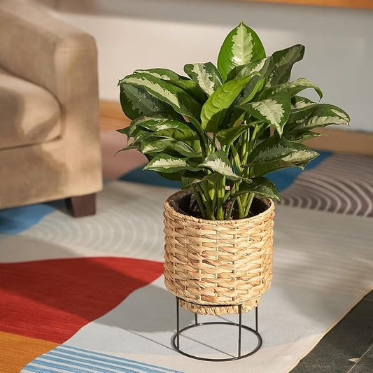 Set of 2 Water Hyacinth Planter Pot with Metal Stand - Indoor Plant, Flower, Succulent, Basket Planter, Decorative Pot Cover (Twisted)