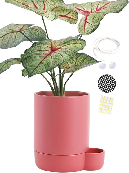 5.5 Inch Ceramic Self Watering Planters with Absorbent Cotton Rope, Cylinder Round Flower Pot for Succulent, Herbs, African Violets, Pink, 1 Pack
