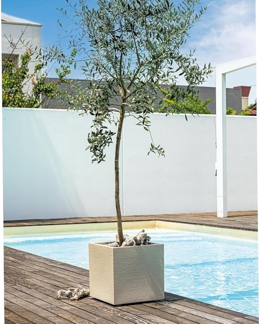 Deroma Millennium 19” Cube | Light & Durable Plastic | Indoor/Outdoor Square Pot for Patio | Water Reserve,Drain Plug Wheels | Trendy Planter for Plants, Flowers, Garden | White