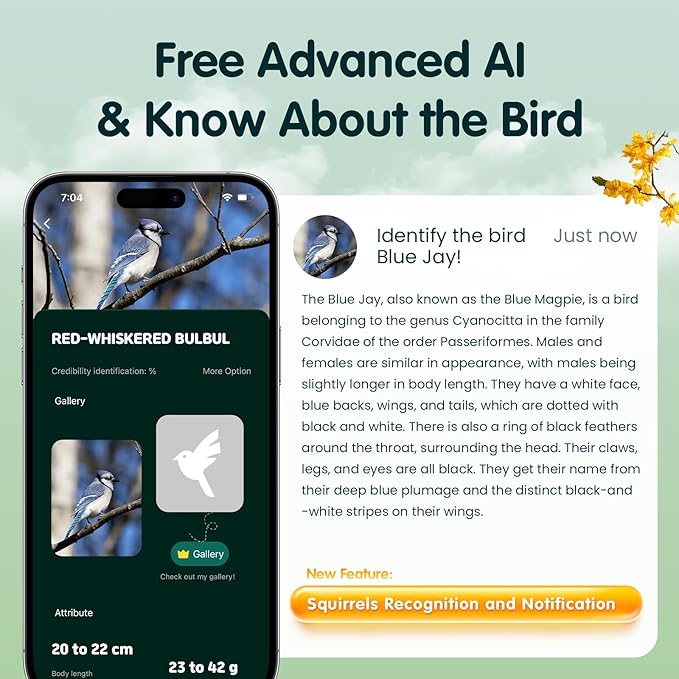 Humbirdy-Bird Feeder with Camera, 8MP Ultra HD Video & Photo, 10x Slow-Motion, 4K 30fps Live View, AI Identify, No Subscription, 2.4G/5G Wi-Fi, Solar Powered, Wildbird Watching Gifts-Metal